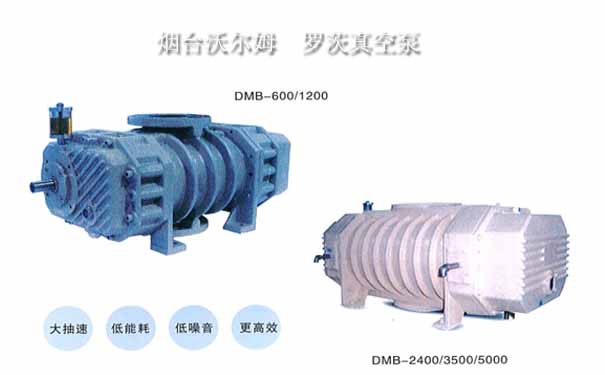 VOLM羅茨真空泵-煙臺沃爾姆真空技術(shù)有限公司
