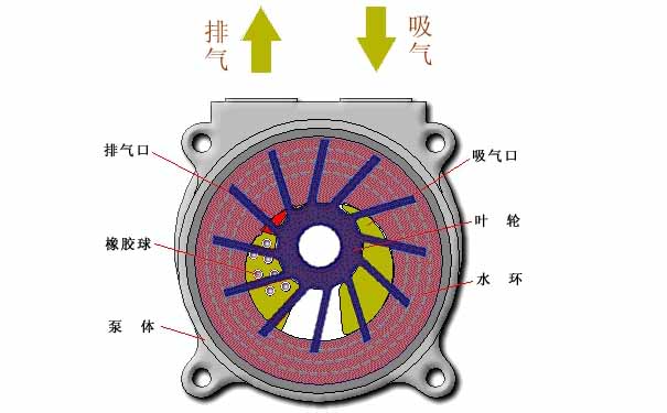 水環(huán)真空泵，水環(huán)式真空泵工作原理