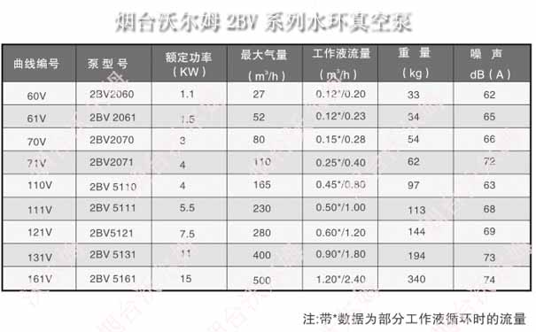 2BV系列液環(huán)真空泵型號參數(shù)