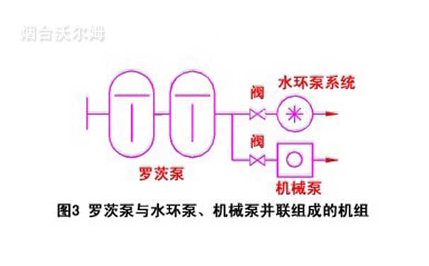 羅茨泵與水環(huán)泵、機械泵并聯(lián)組成的機組